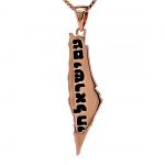 Central Diamond Center Israel Map Necklace/Pendant-Sterling Silver Am Israel Chai on Back Side-3D Map of Israel Large &amp; Small