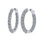 Zsa Zsa Oval Hoop Earrings Simulated Diamond-Silver Hoop Earrings Pure Brilliance Zirconia white-yellow &amp; rose