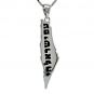 Central Diamond Center Israel Map Necklace/Pendant-Sterling Silver Am Israel Chai on Back Side-3D Map of Israel Large &amp; Small