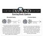Central Diamond Center 0.20ct-0.30ct Diamond Stud Earrings Lab Created (E-F VS-SI) Silver &amp; 14K Gold Post Threaded or Friction