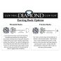 Central Diamond Center 0.20ct-0.30ct Diamond Stud Earrings Lab Created (G-H VS-SI) Silver &amp; 14K Gold Post Threaded or Friction